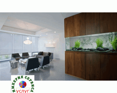 Встроенный аквариум. Замер, доставка, установка, изготовление декораций, обслуживание